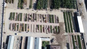 Kocasinan Belediyesi'nin 2021 yılında dikilecek ağaç hedefi!