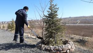 Talas'ta doğaya organik uygulama