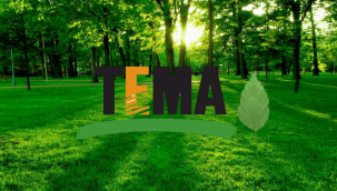 TEMA Vakfı'ndan anlamlı girişim: Sağlık Çalışanları Ormanı