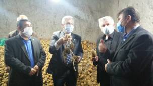 "1 TL'ye ürettikleri patatesi 30 kuruşa satamıyorlar"