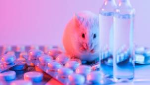 192 milyondan fazla hayvan, deney için laboratuvarlarda tutuluyor