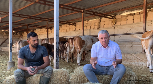 CHP Milletvekili Çetin Arık: Besiciler büyük zararda!