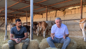 CHP Milletvekili Çetin Arık: Besiciler büyük zararda!