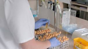 DSÖ, Afrika'da yardımlarına devam ediyor