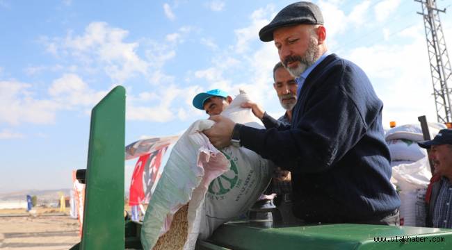 Kocasinan'da 60 dönüm arazide, aspir tohumları toprakla buluştu