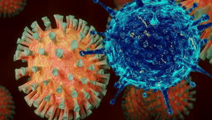 Koronavirüs salgınında vaka sayısı 49 bin 584'e ulaştı