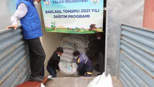 Talas'ın tohum desteği devam ediyor