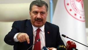 29 Mayıs Türkiye koronavirüs tablosu