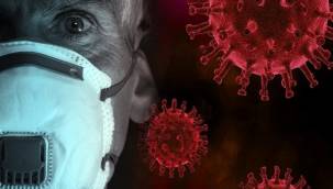 Koronavirüs salgınında vaka sayısı 14 bin 497'ye ulaştı