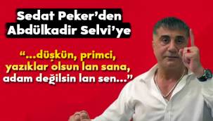 Sedat Peker bu kez Gazeteci Abdülkadir Selvi'ye yüklendi: Düşkün Abdülkadir!