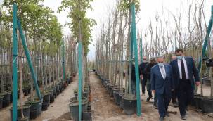 Talas'a 10 bin metrekarelik yeni fidanlık