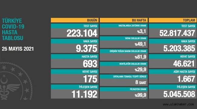 Türkiye 25 Mayıs koronavirüs tablosu