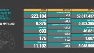 Türkiye 25 Mayıs koronavirüs tablosu