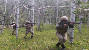 5 PKK'lı terörist etkisiz hale getirildi