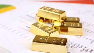 Altına yatırım Mayıs'ta 9 ayın zirvesine çıktı