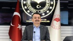 Bakan Pakdemirli: "Biz istiyoruz ki dünyada bir ağaç daha az yansın"