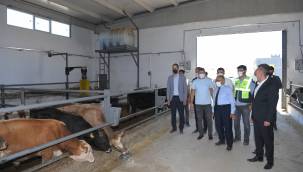 Beydeğirmeni Besi Bölgesi'nde tesis sayısı 100'e çıkacak