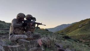 Bitlis'te 2 terörist öldürüldü