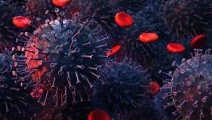 Delta varyantı neden bu kadar bulaşıcı?