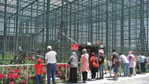 Hayvanat bahçesinin yeni maskotu ilgi odağı oldu