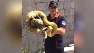 Kayseri'de 3 metrelik yılan yakalandı