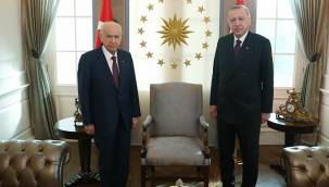 Bahçeli'den Cumhurbaşkanı Erdoğan'a hediye çınar fidanı