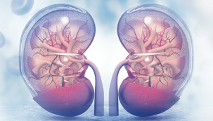 Böbrek sağlığı için 7 önemli uyarı!