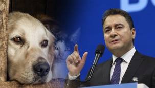 DEVA Partisi Hayvanları Koruma Kanunu'nu yeterli görmedi