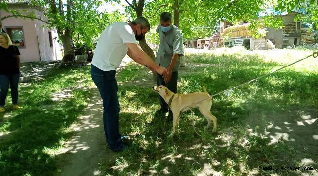 İyi Partili Kazım Yücel'den sokak hayvanları barınağına ziyaret