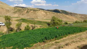 Jandarmadan PKK'nın finans kaynağına darbe