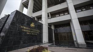 Merkez Bankası BOTAŞ'a döviz satışına yeniden başladı