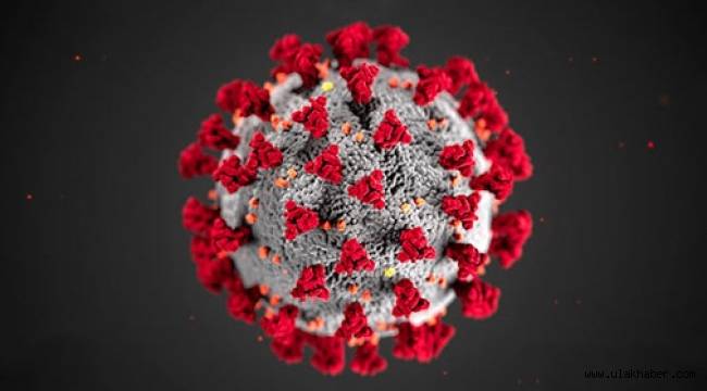 Türkiye'de son 24 saatte 4 bin 678 koronavirüs vakası tespit edildi