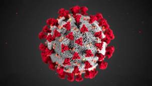 Türkiye'de son 24 saatte 4 bin 678 koronavirüs vakası tespit edildi