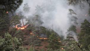 Yahyalı'da çıkan orman yangını henüz kontrol altına alınamadı!