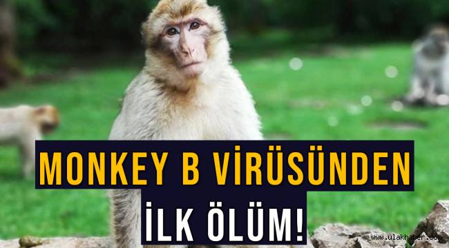 Yine Çin, yine virüs, bu kez maymundan! Monkey B virüsü nedir?