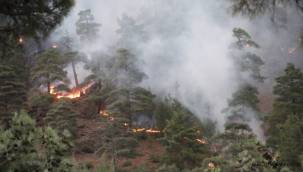 5 ilde 13 yangına müdahale sürüyor