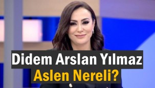 Didem Arslan Yılmaz aslen nereli, kürt mü, Kürtçe biliyor mu?