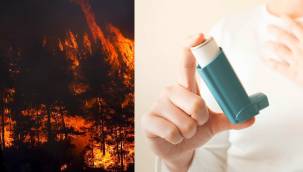 İklim değişikliği ve orman yangınları astım için büyük tehdit