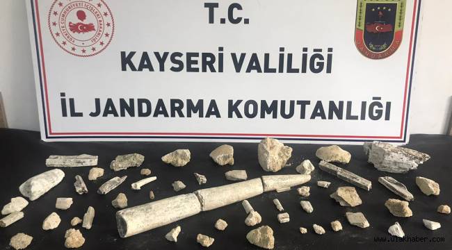 Kayseri'de, kaçırılmak istenen fildişi fosilleri ele geçirildi