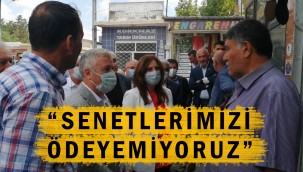 Çiftçi böyle dert yandı: Biz bittik ağabey, yemin yanına varılmıyor