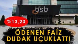 OSB'nin kullandığı yüzde 13,2 faizli kredi şoke etti!