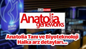 Anatolia Tanı (ANGEN) halka arz ne zaman, eşit mi oransal mı, kaç lot verir?