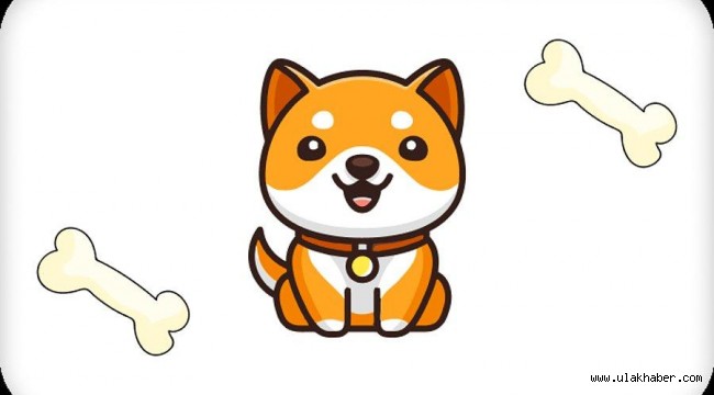 Baby Doge Coin nedir, geleceği nedir?