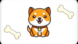 Baby Doge Coin nedir, geleceği nedir?
