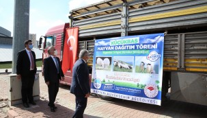 Başkan Büyükkılıç'tan bin ton tohum, 3 bin küçükbaş dağıtım sözü