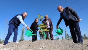 Çolakbayrakdar: Dikilen her bir ağaç, geleceğe bırakılan en büyük mirastır