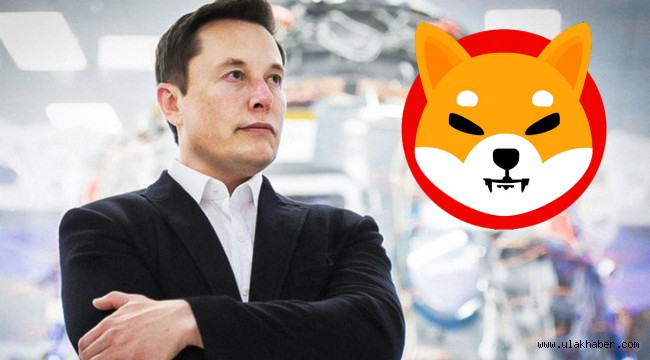 Elon Musk'ın köpeğinden esinlenerek üretilen kripto para rekora koşuyor