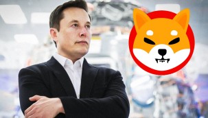 Elon Musk'ın köpeğinden esinlenerek üretilen kripto para rekora koşuyor