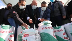 Kocasinan Belediyesi, çiftçilere gacer buğdayı dağıttı