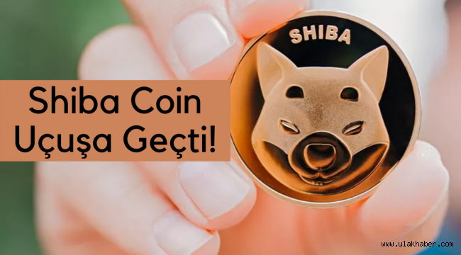 Shiba coin uçuşa geçti! Shiba ne kadar olur, geleceği nedir?